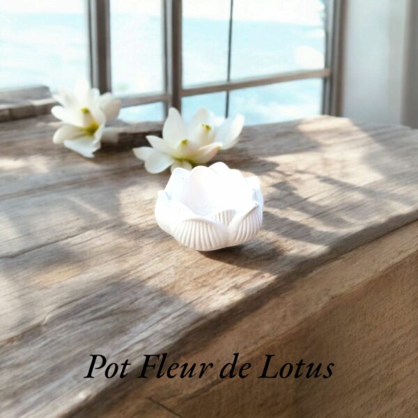 Pot Fleur de Lotus - Naturel et Pureté