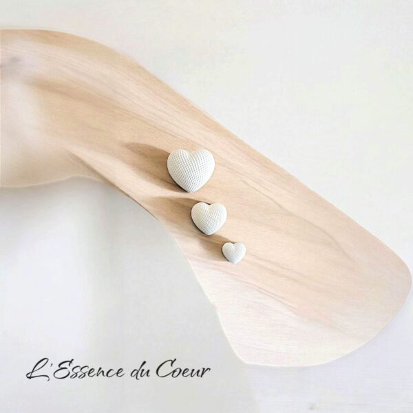 L'essence du Coeur - Passion et Eternelle