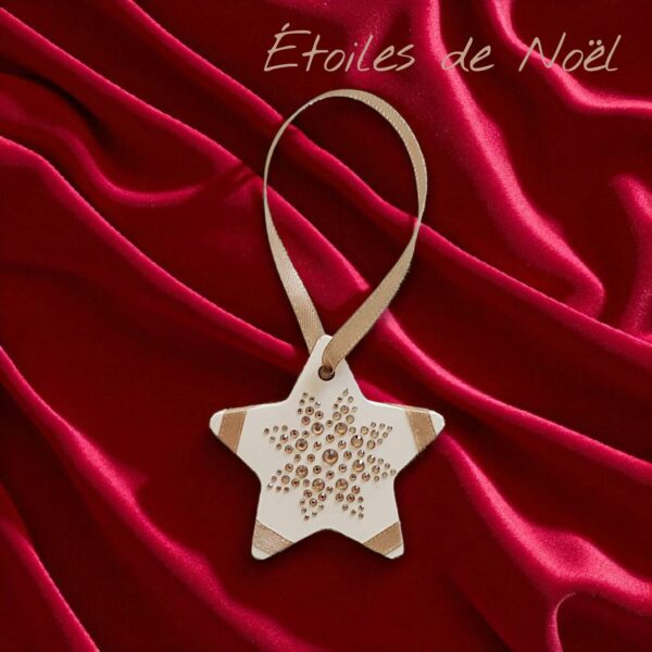 Etoile Strass Fleur 12 - Noël et Fêtes