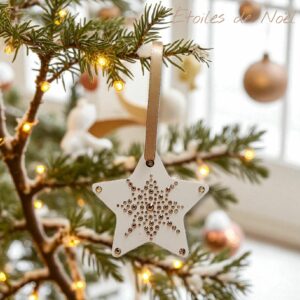 Etoile Strass Champagne 7 - Noël et Sapin