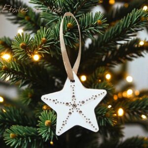 Etoiles Strass Branches 2 - Noël et Fêtes