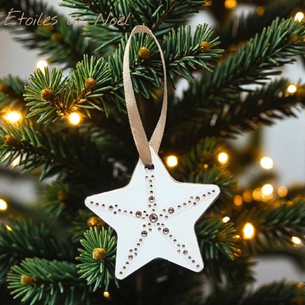 Etoiles Strass Branches 2 - Noël et Fêtes